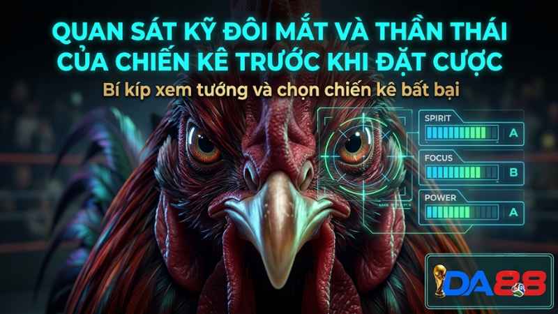 Bí kíp xem tướng và chọn chiến kê bất bại