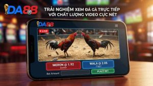 Sảnh Đá Gà DA88 phát sóng trực tiếp từ trường gà Thomo